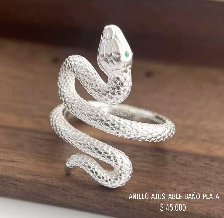 Anillo ajustable baño plata