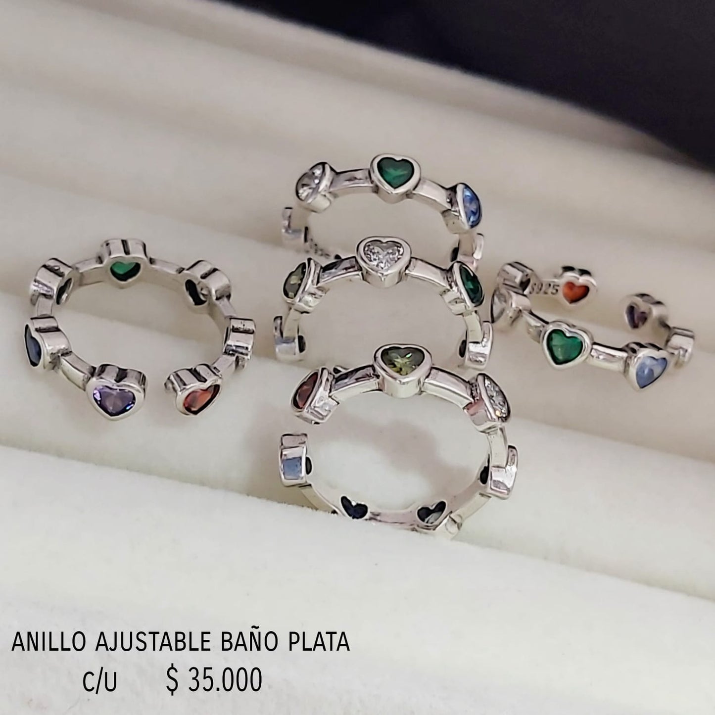 Anillo ajustable baño plata