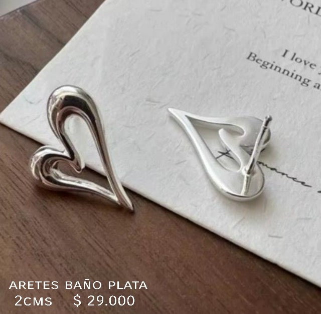 Aretes baño plata