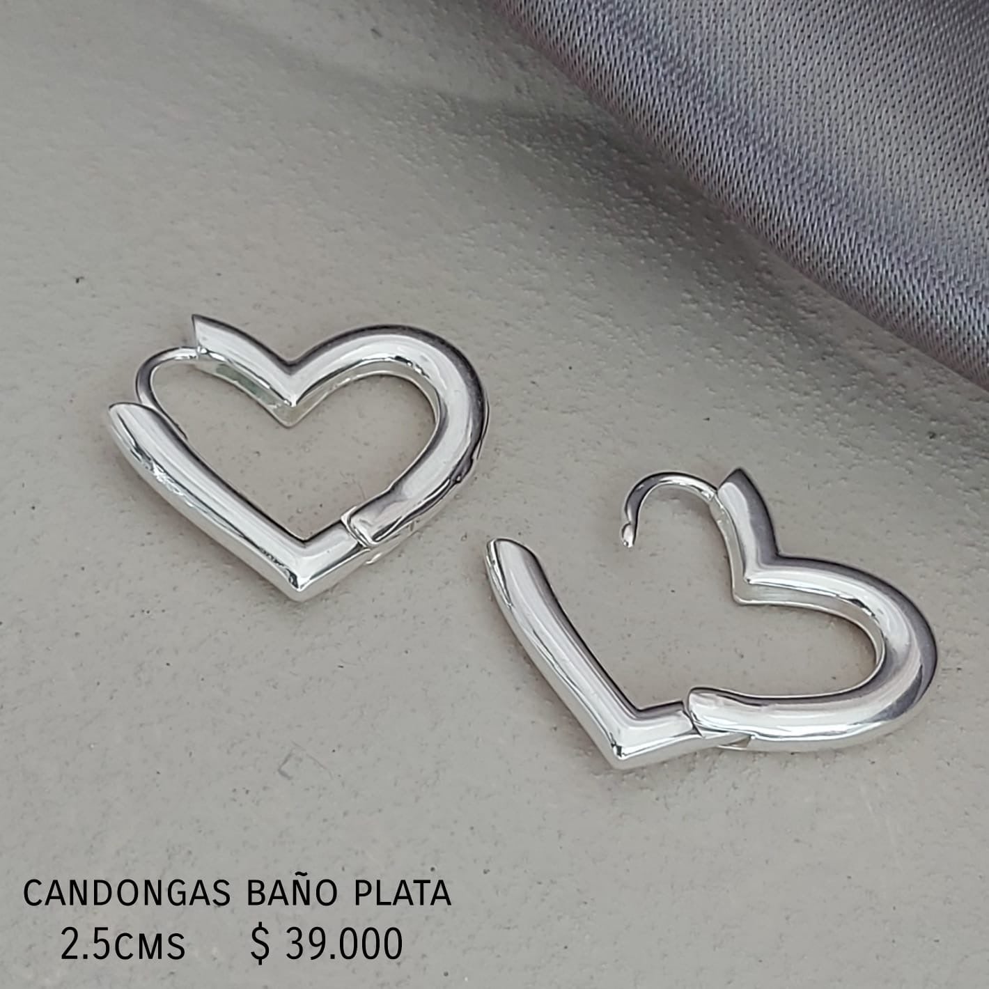 Aretes baño plata