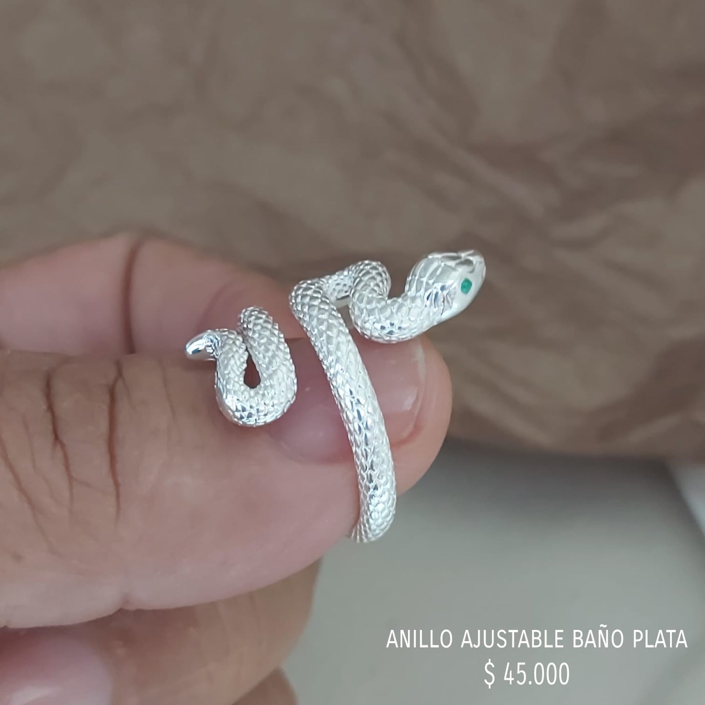 Anillo ajustable baño plata