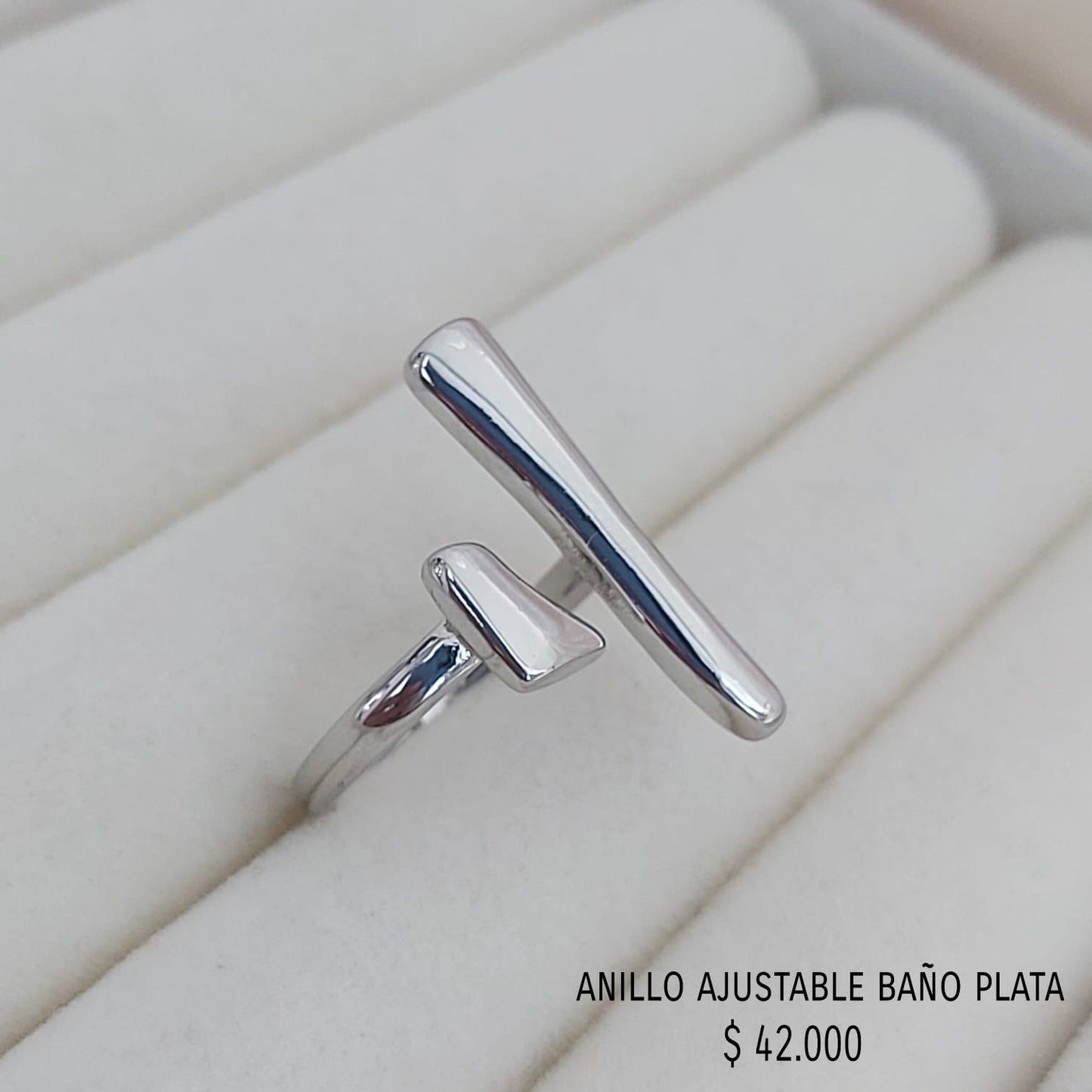 Anillo ajustable baño plata