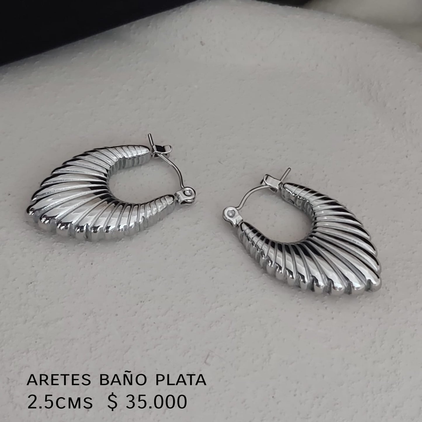 Aretes baño plata