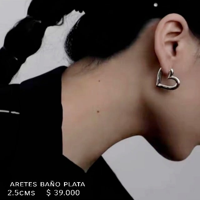 Aretes baño plata