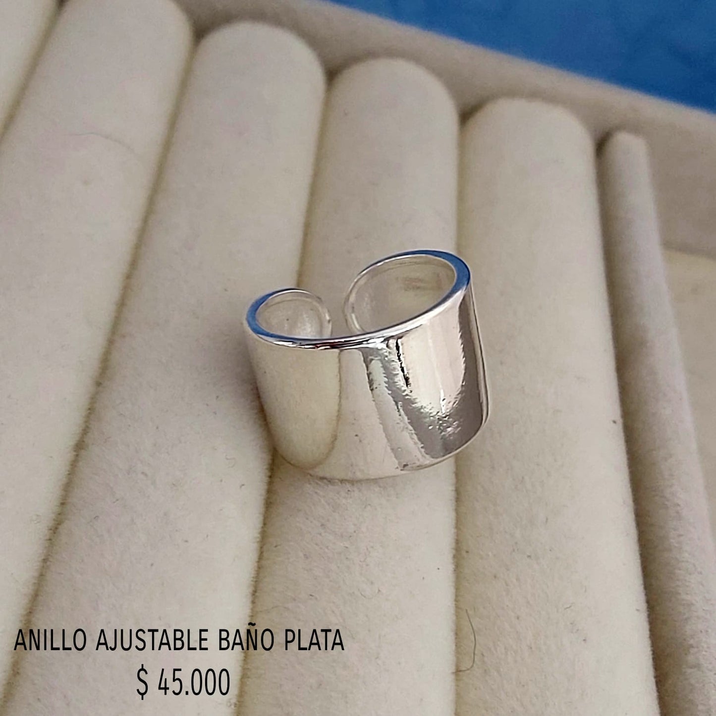 Anillo ajustable baño plata