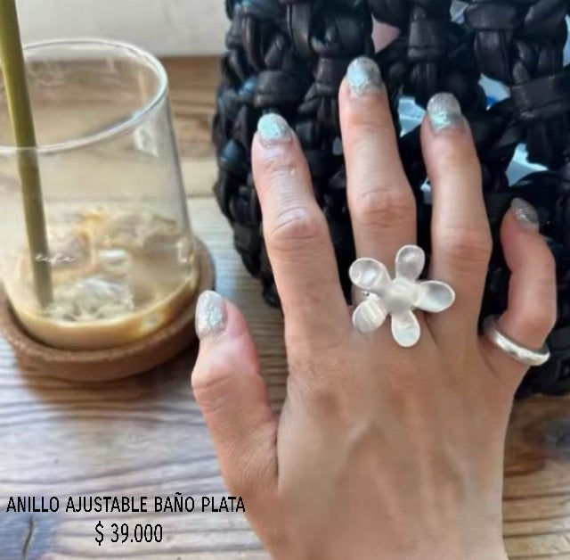 Anillo ajustable baño plata
