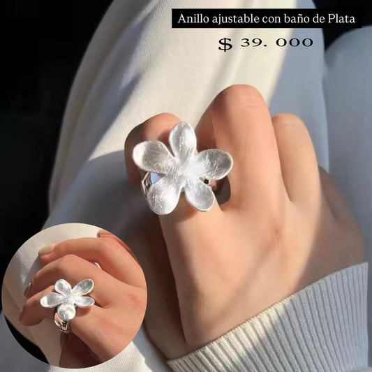 Anillo ajustable baño plata